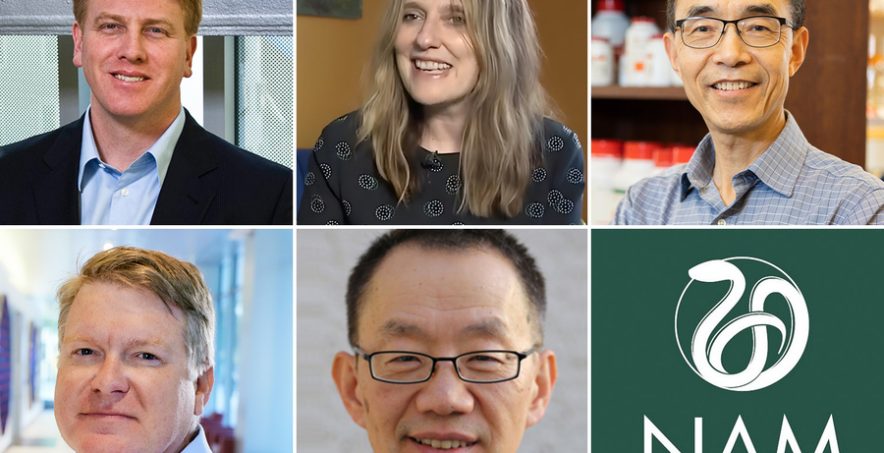 Five MIT faculty members are among the 12 MIT affiliates and 100 total new members of the National Academy of Medicine. Clockwise from top left: Daniel Anderson, Regina Barzilay, Guoping Feng, Morgan Sheng, and Darrell Irvine.